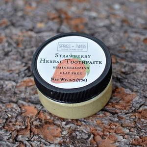 Remineralizing Herbal Toothpaste: Clay-Free + Dairy-Free - Sprigs + Twigs